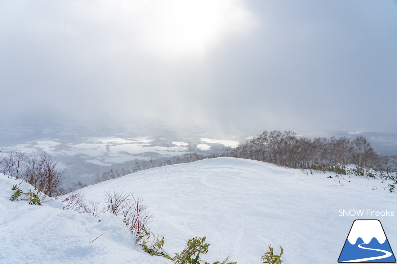 ニセコビレッジ｜Xmasと年末年始に間に合った！山頂気温「-18℃」。待望の寒波でパウダーシーズン到来(^^)/